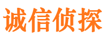 南丰市调查公司